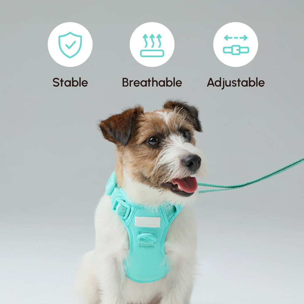 Padded Active Pet Leash in Mint Green