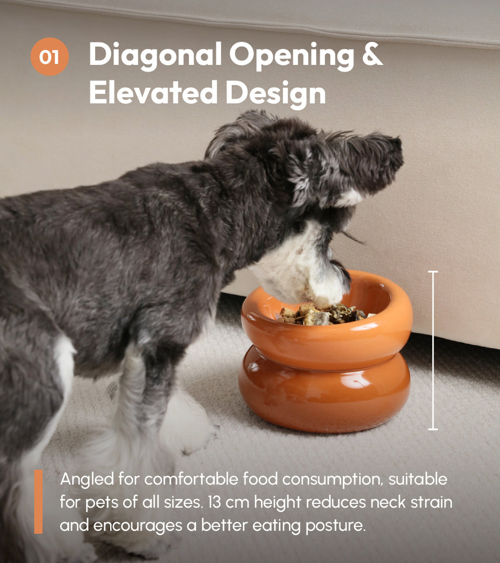 Soufflé Pet Bowl Amber Orange