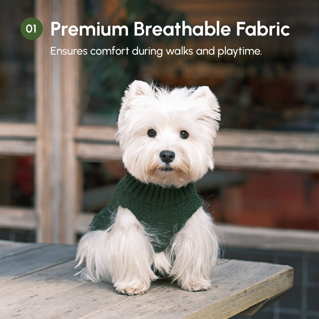 Green Pet Sweater Vest for Dogs and Cats