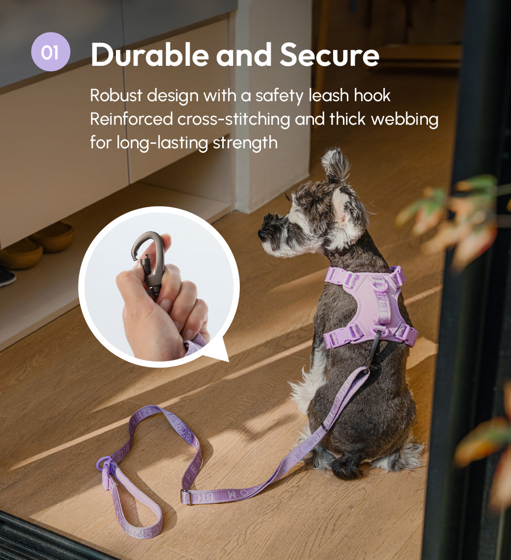 Padded Active Pet Leash in Mint Purple