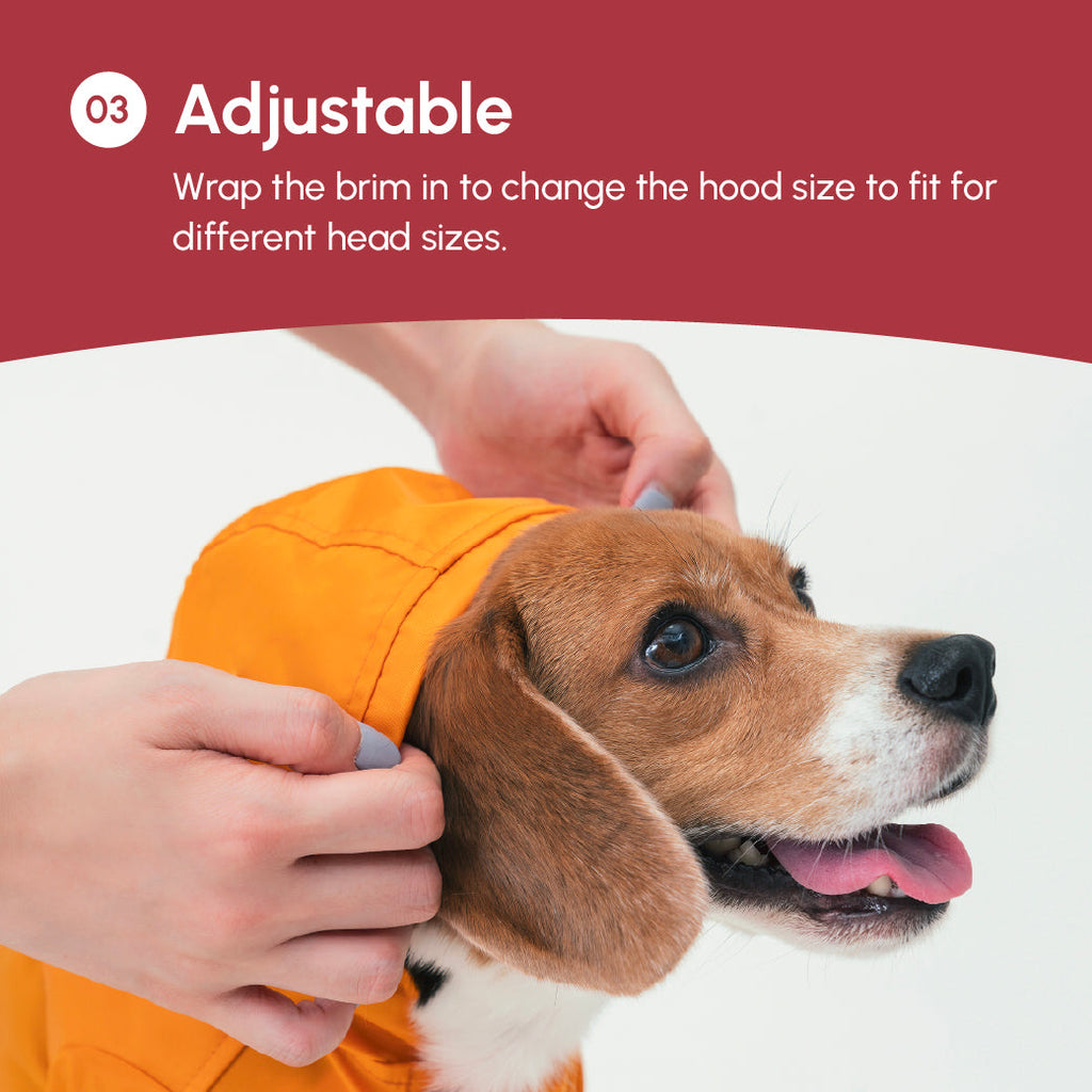 Adjustable Velcro Raincoat for Dogs in Burgundy