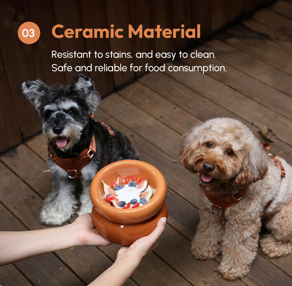 Soufflé Pet Bowl Amber Orange