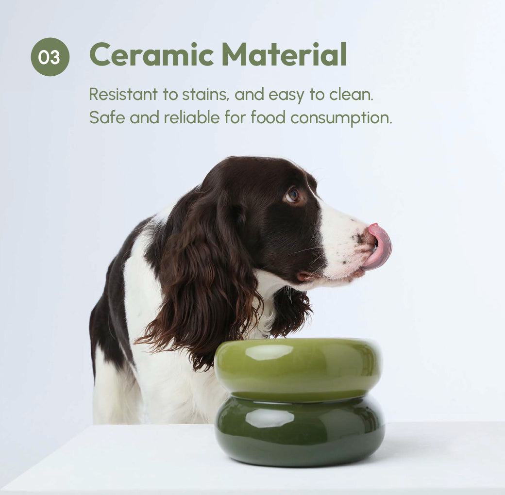 Soufflé Pet Bowl in Avocado Green