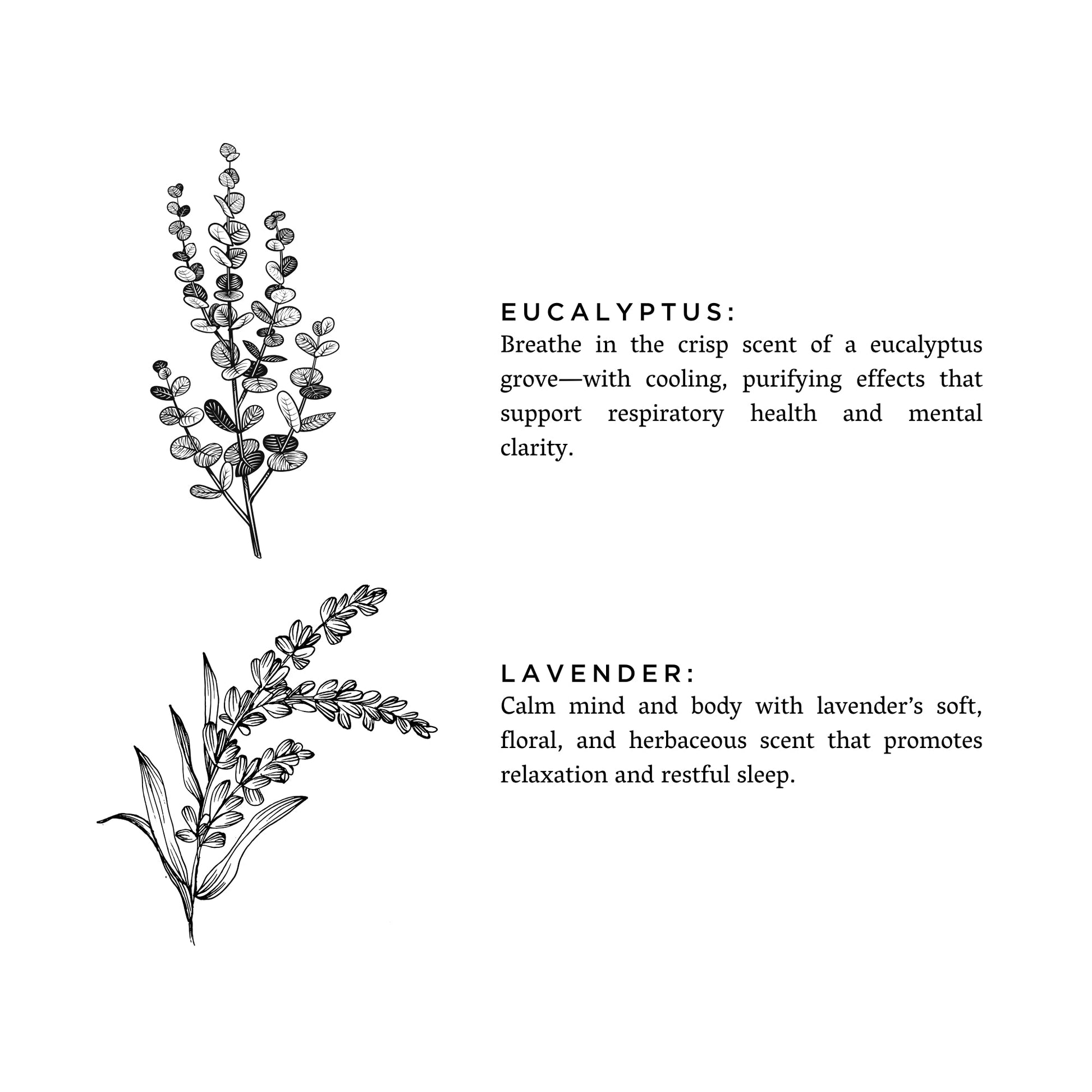 Natural Laundry Powder in Eucalyptus and Lavender