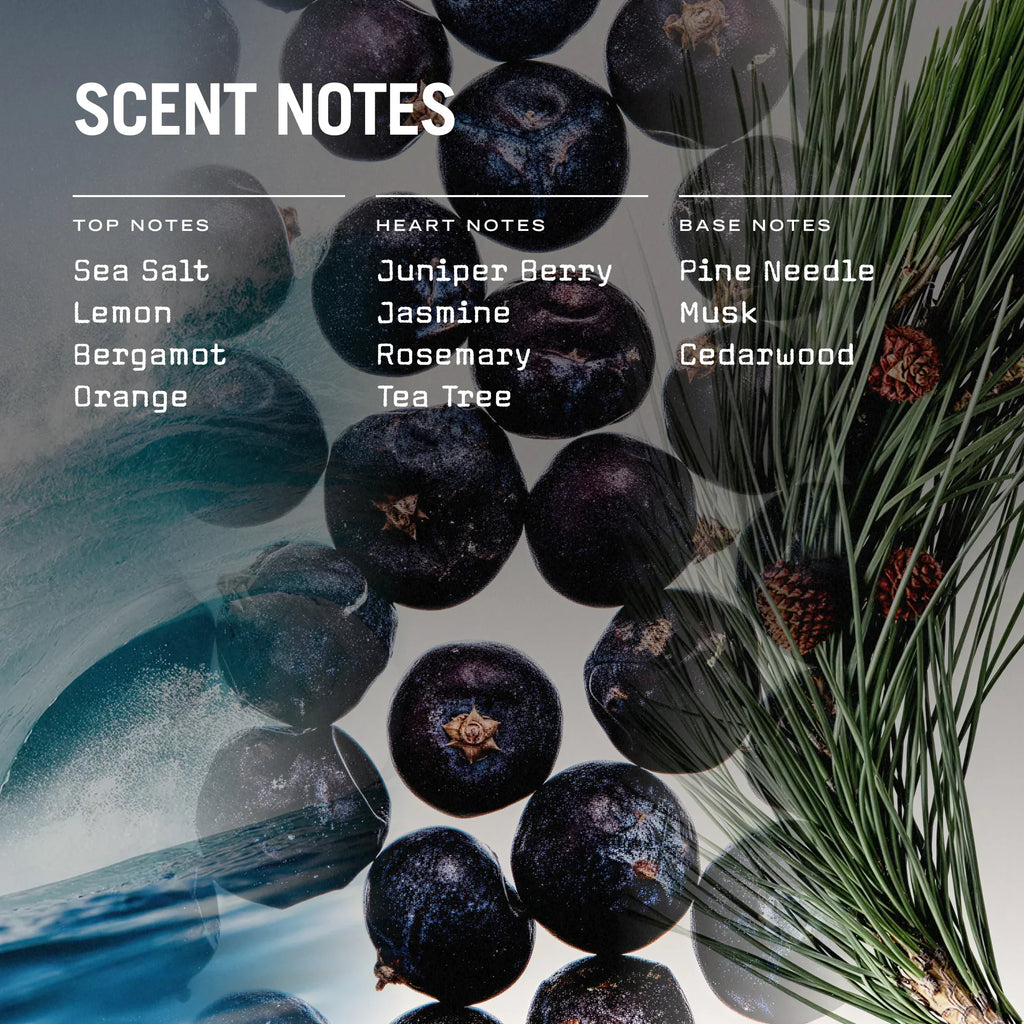 Exmoor 100ml Reed Diffuser