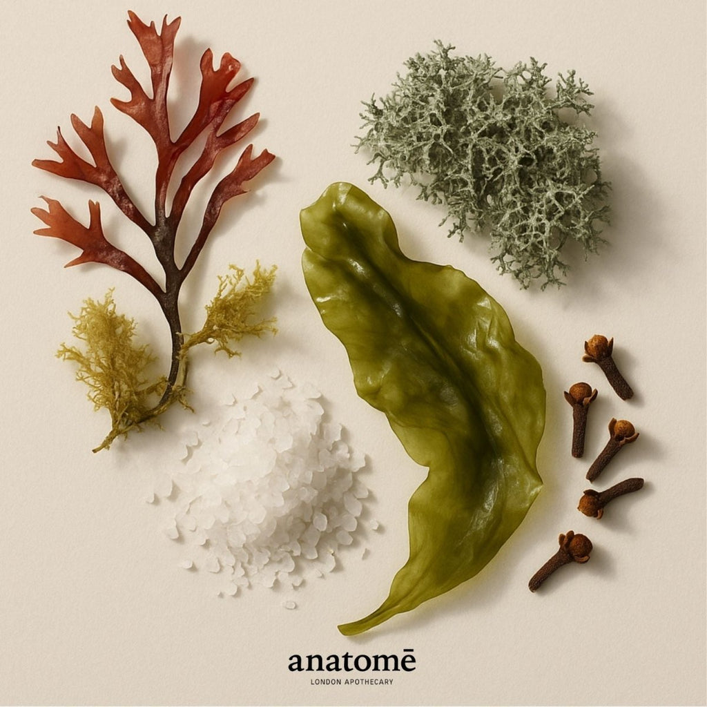 Expression Functional Parfum