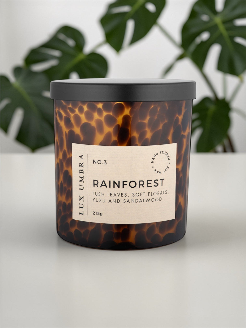 RAINFOREST
