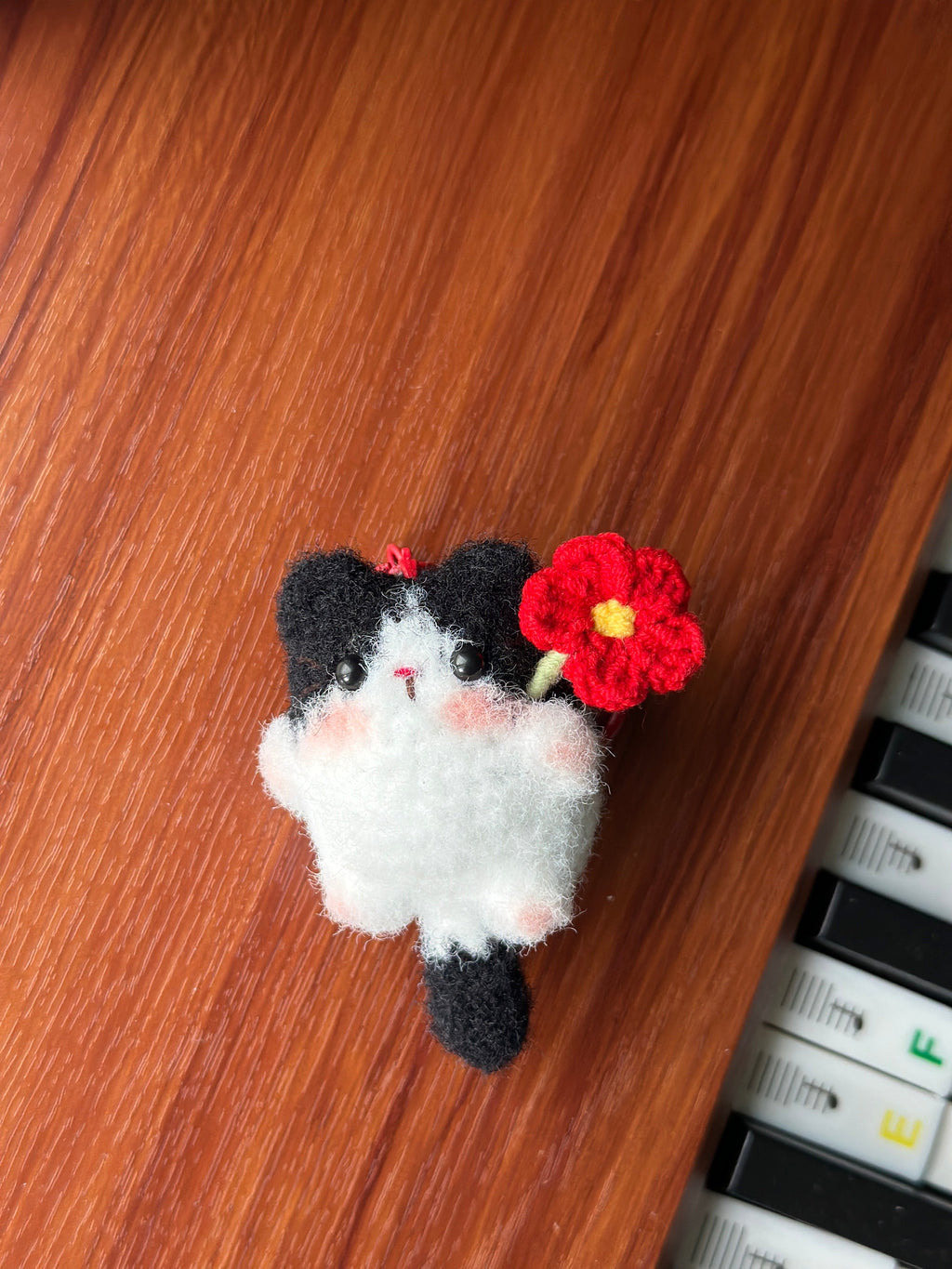 Little Square Cute Kitten Collection