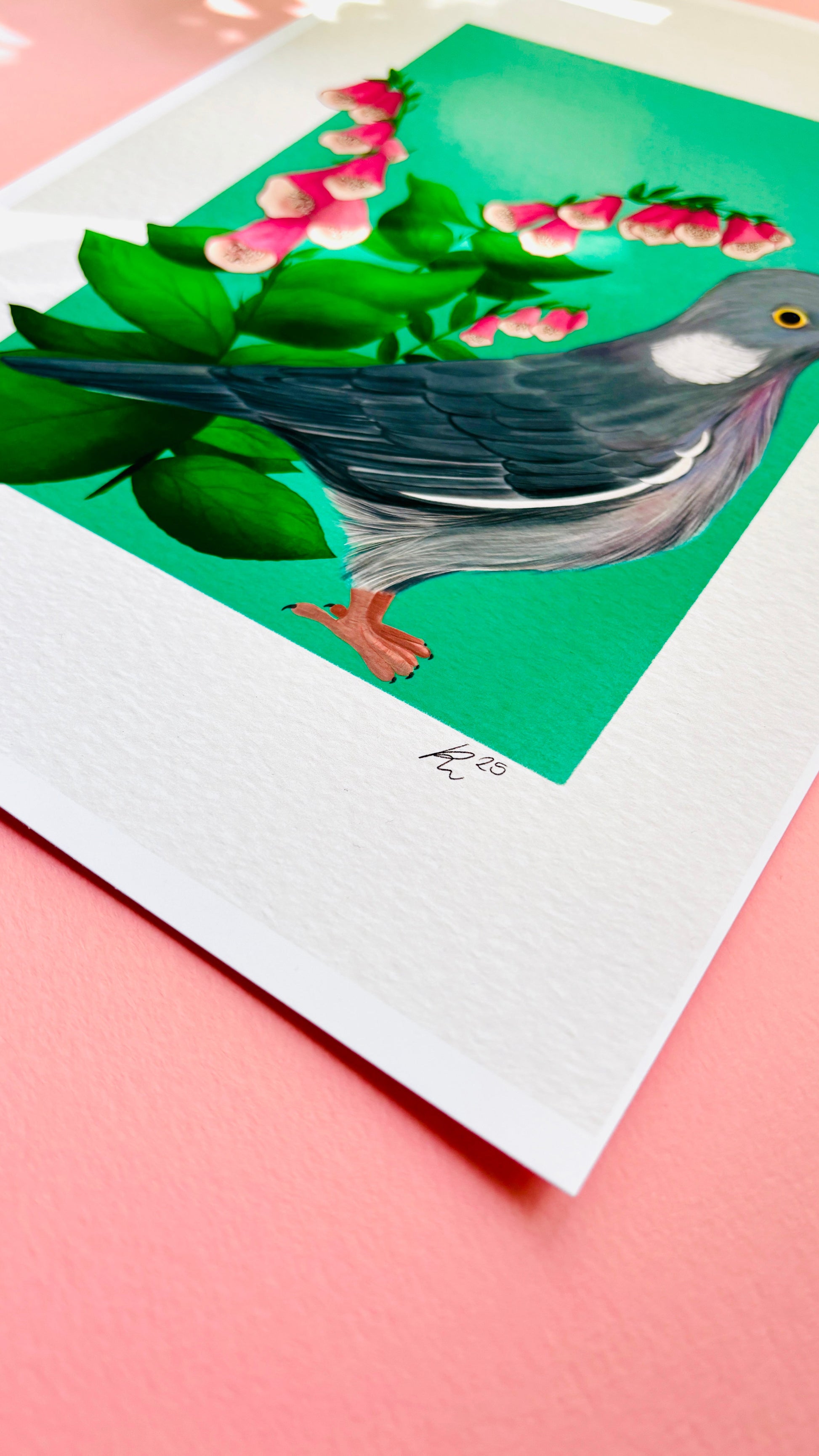 Wood Pigeon Art Print- British Wildlife Illustration