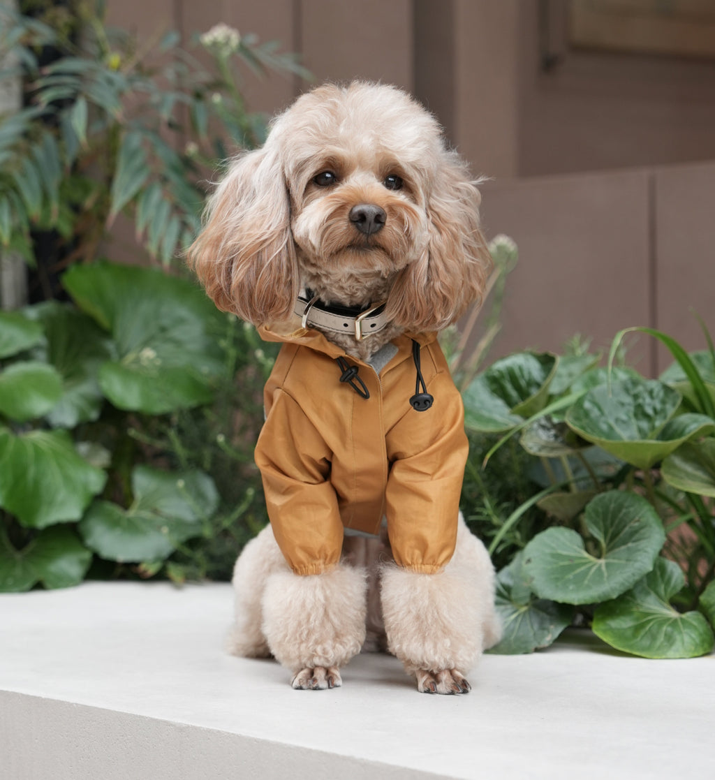 Ultralight Full Covered Hooded Waterproof Dog Jacket in Yellow