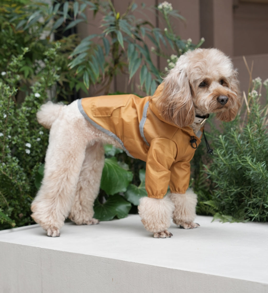 Ultralight Full Covered Hooded Waterproof Dog Jacket in Yellow