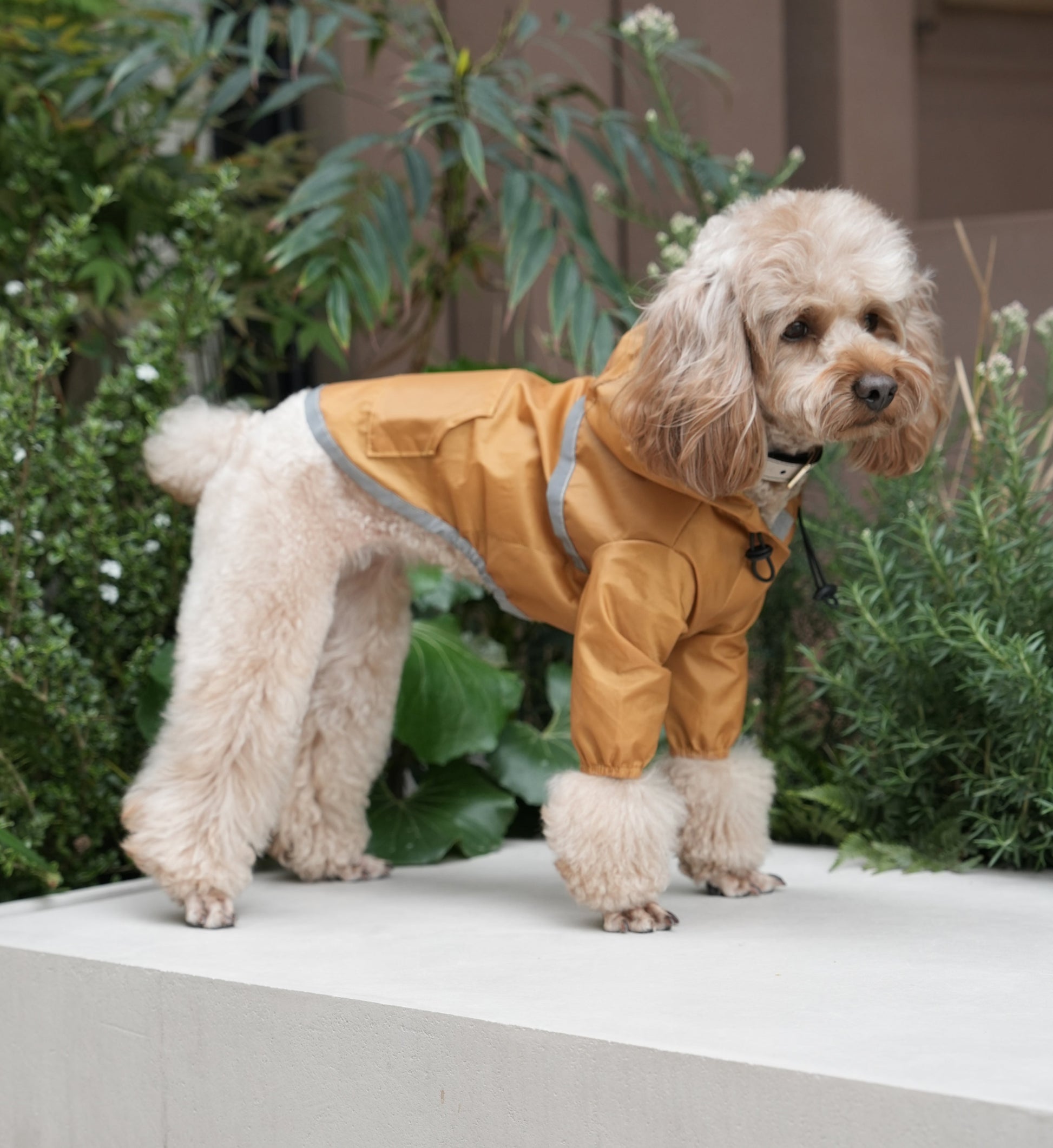 Ultralight Full Covered Hooded Waterproof Dog Jacket in Yellow