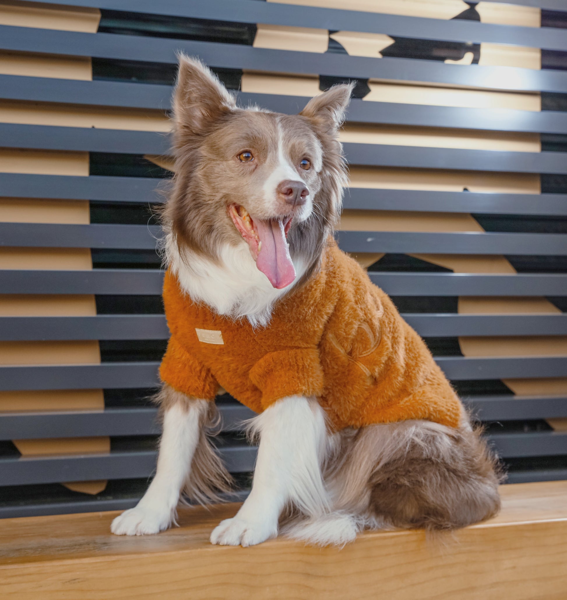 Fuzzy Orange Pet Sweater