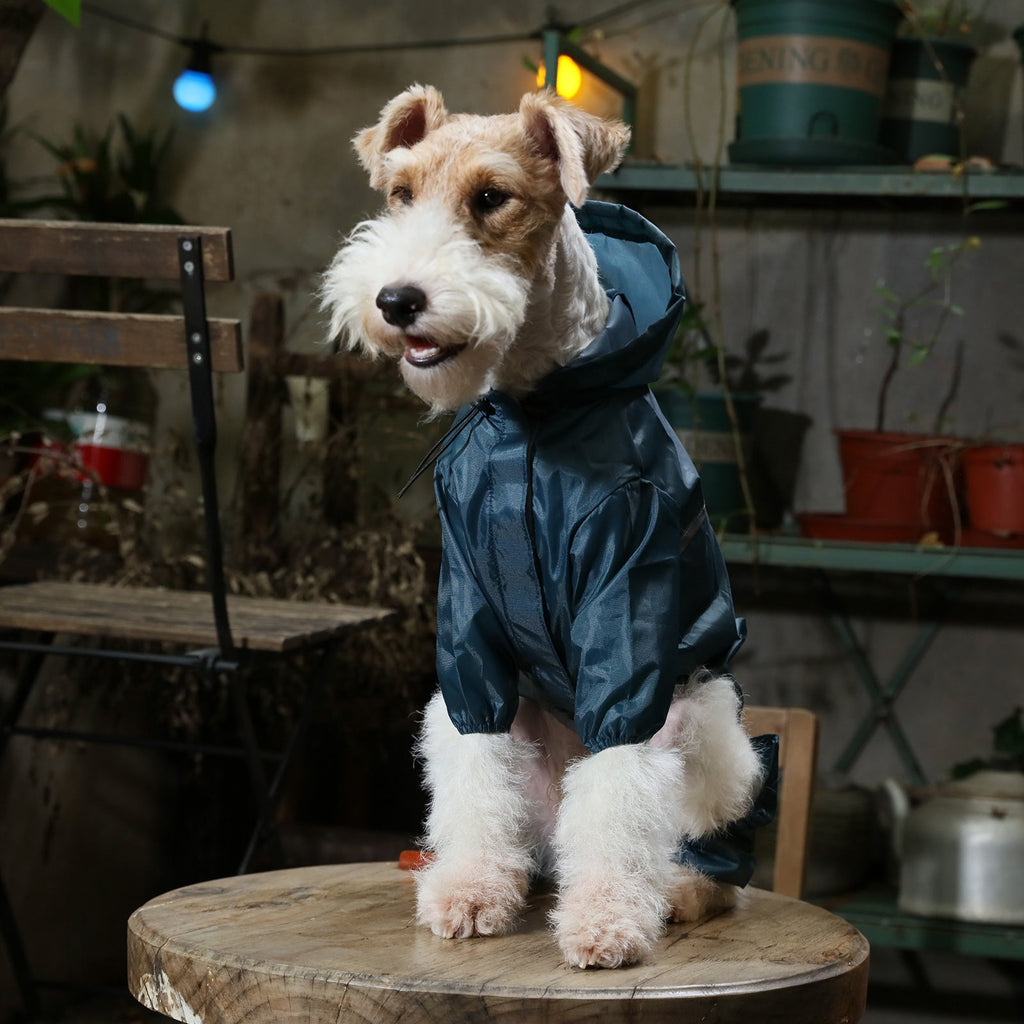 Ultralight Full Coverage Hooded Waterproof Dog Jacket in Blue