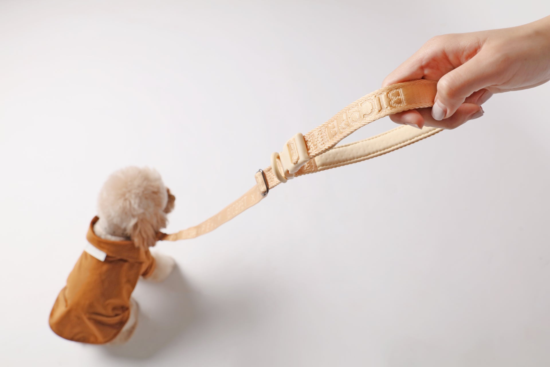 Padded Active Pet Leash in Apricot