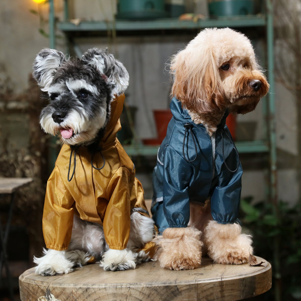 Ultralight Full Coverage Hooded Waterproof Dog Jacket in Blue