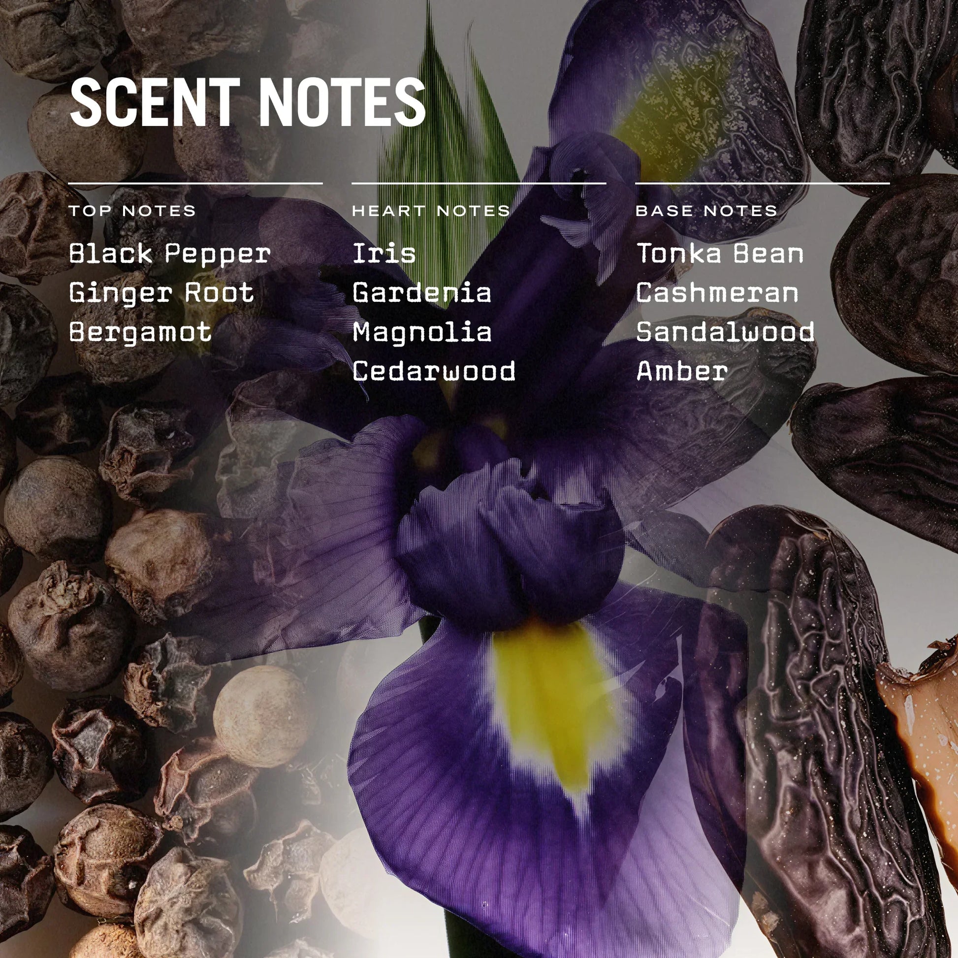 Firenze Leather 100ml Reed Diffuser