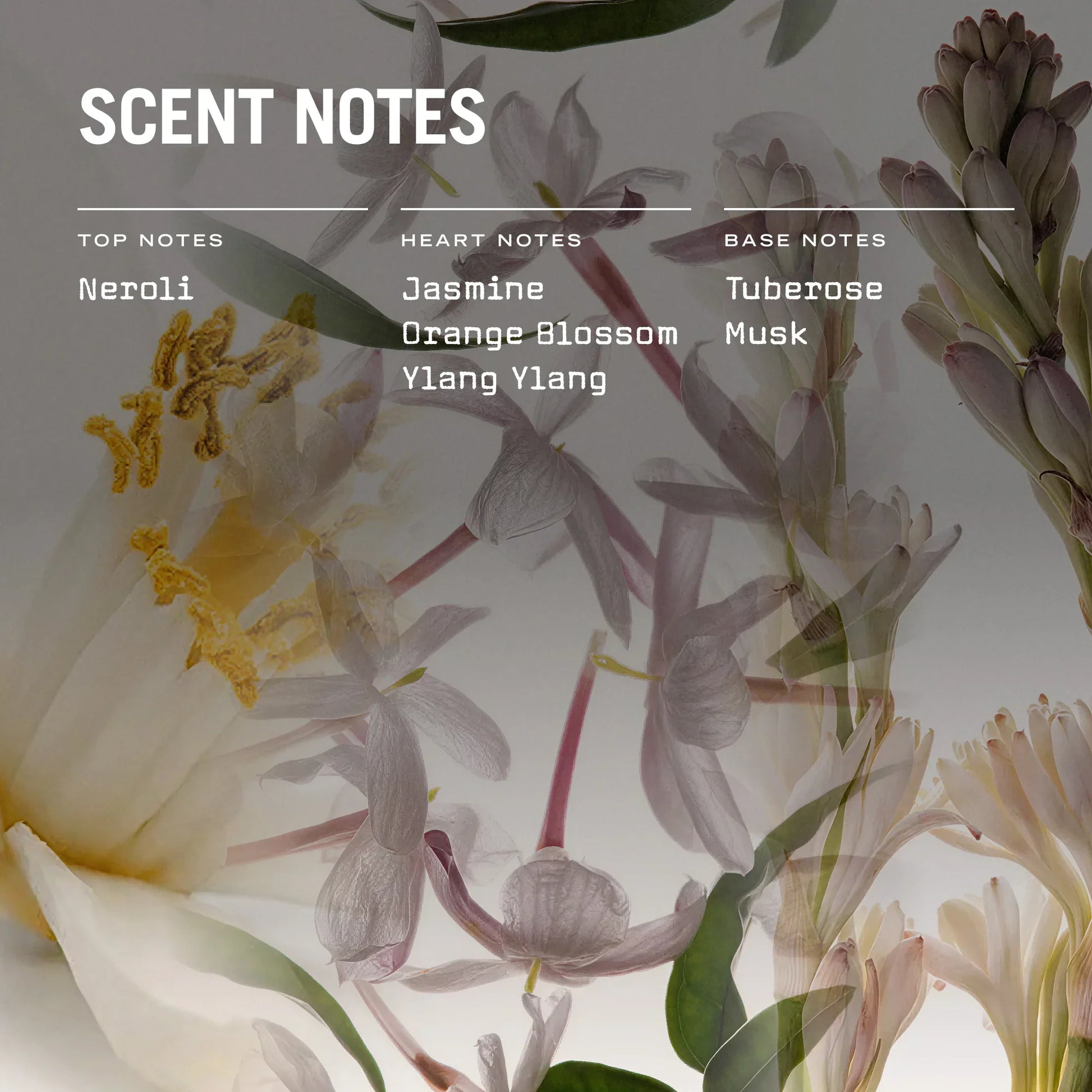 Florale 250g Scented Candle