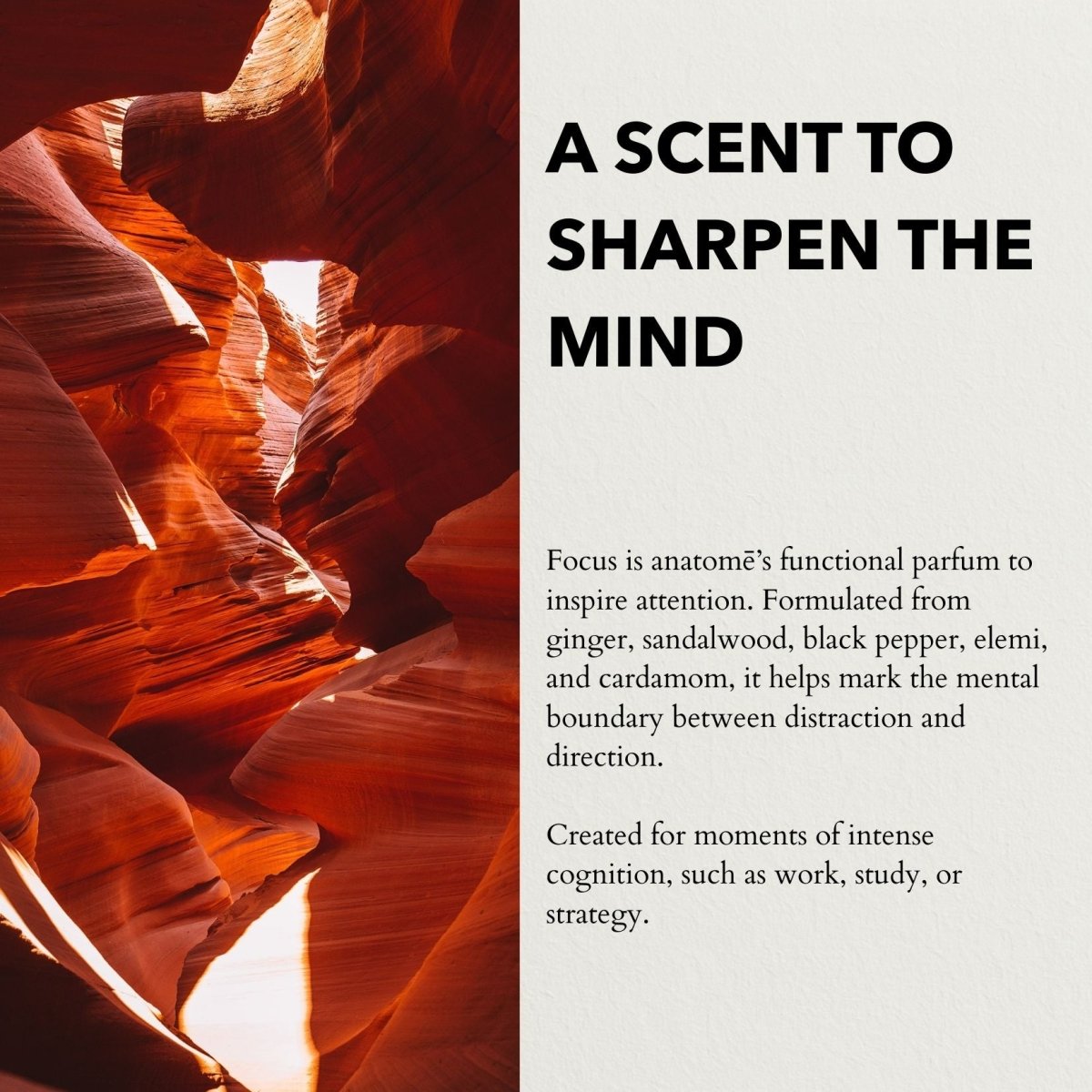 Focus Functional Parfum