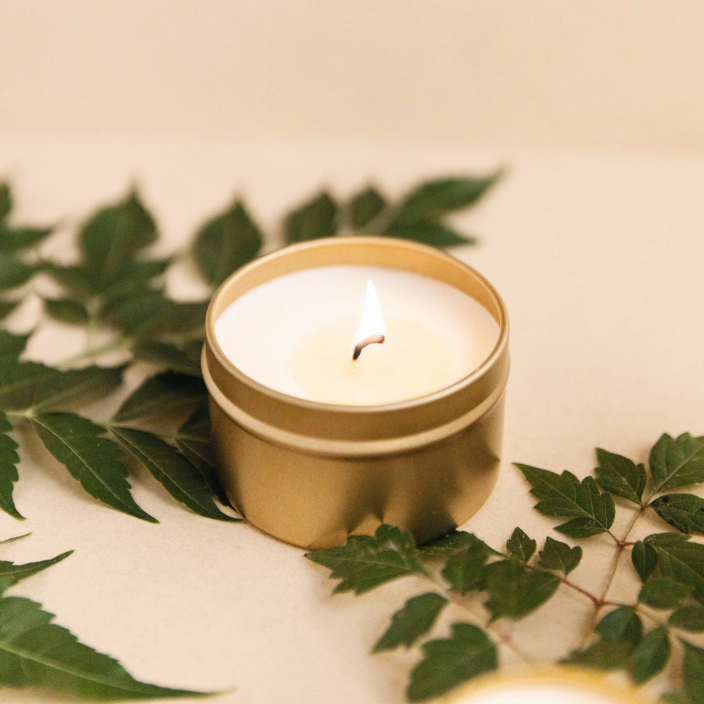 Forest Bathing Candle in Fir Pine and Patchouli