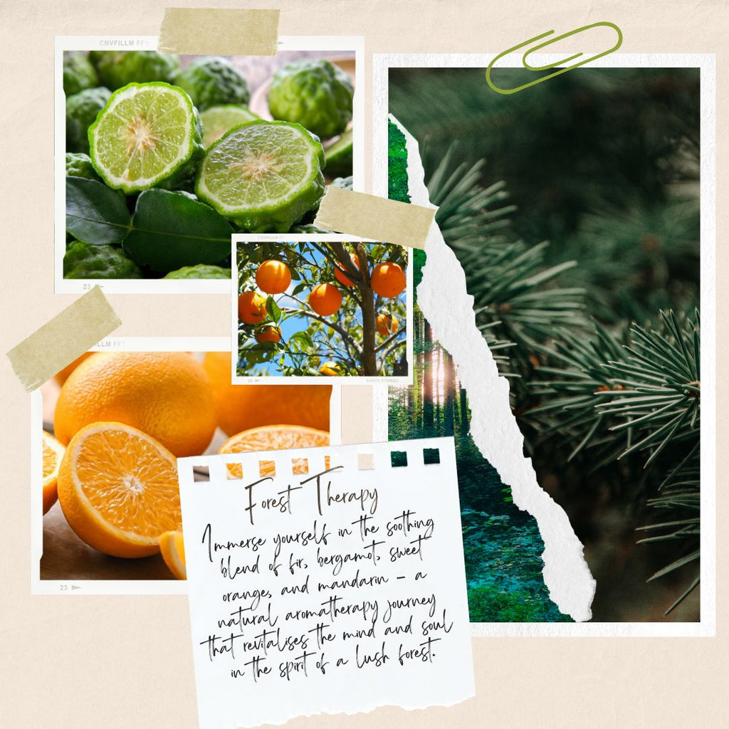 Forest Therapy Aromatherapy Perfume Oil