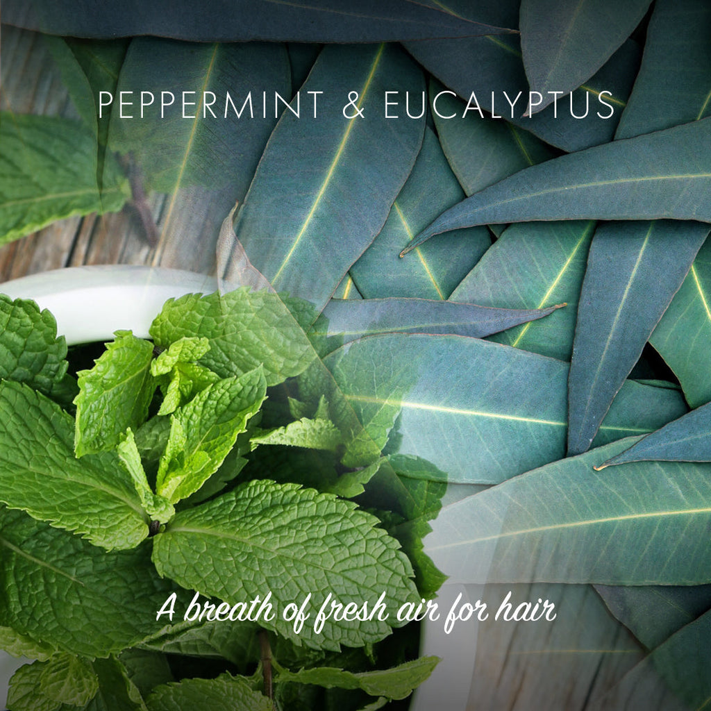 Peppermint and Eucalyptus Conditioner Bar