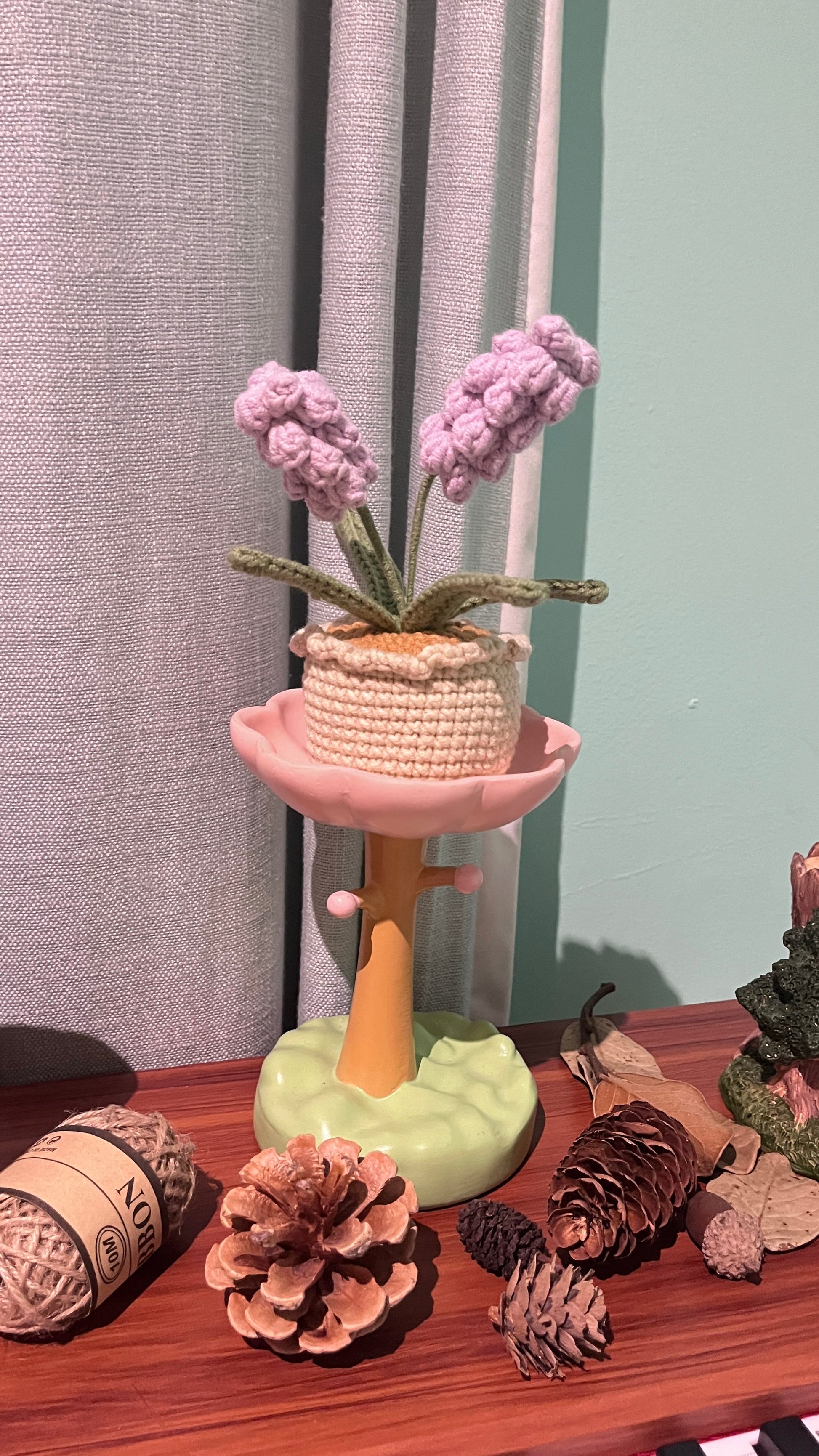 XXL Pot Plants : Larger the size, Bigger the smile