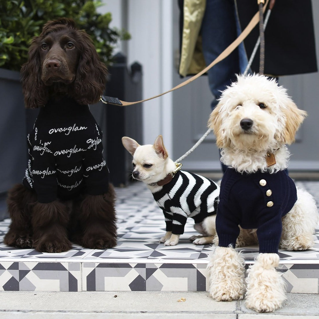 Zig Zag Jumper in Red and Black