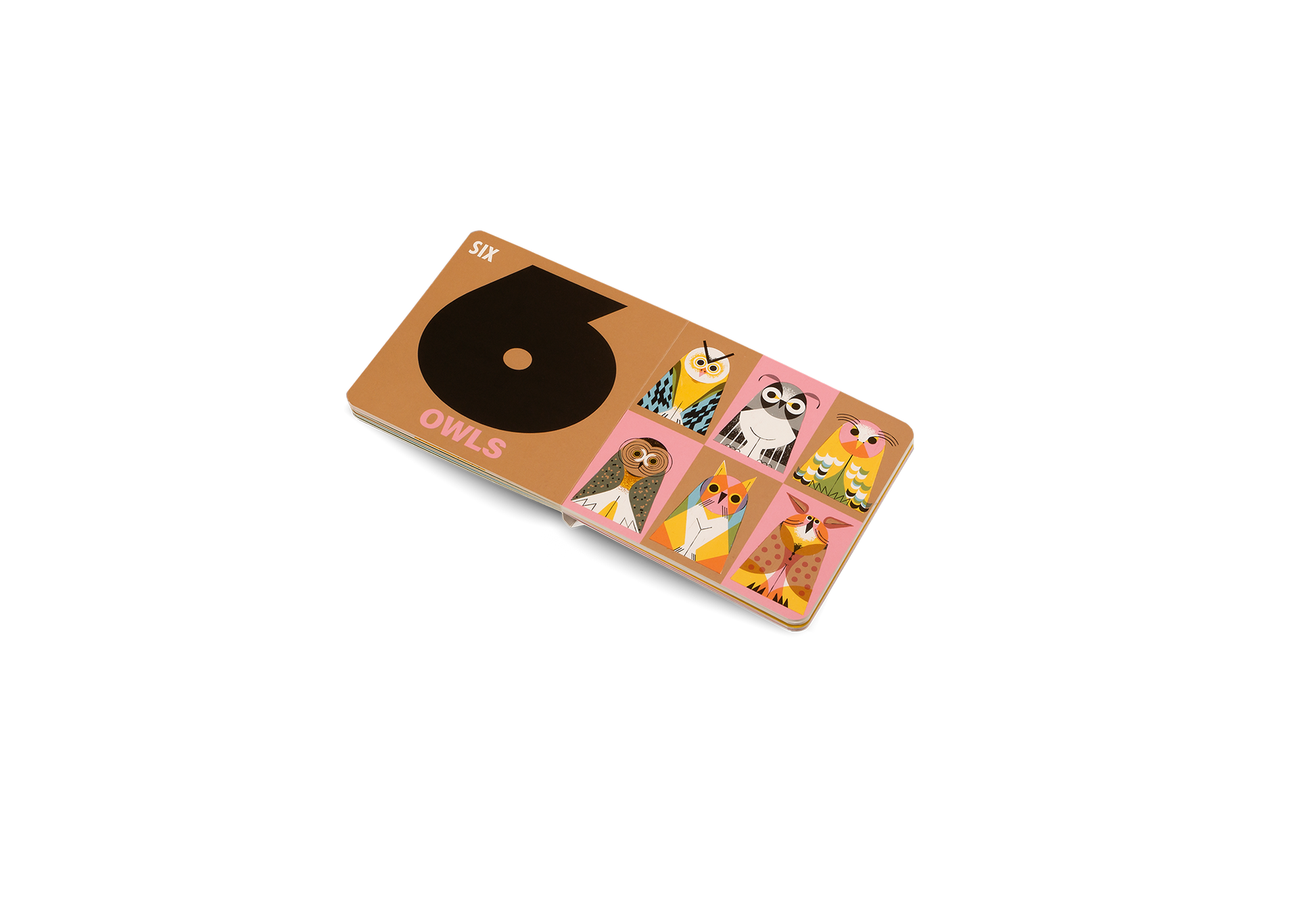 How Many Birds Counting Book for Children