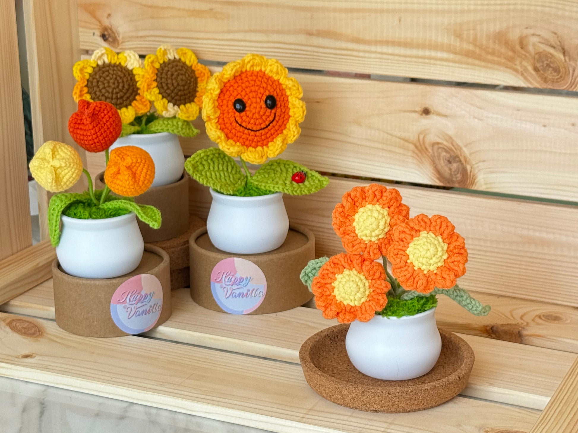 Blooming Joy: Whimsical Garden Pastel Pot Collection