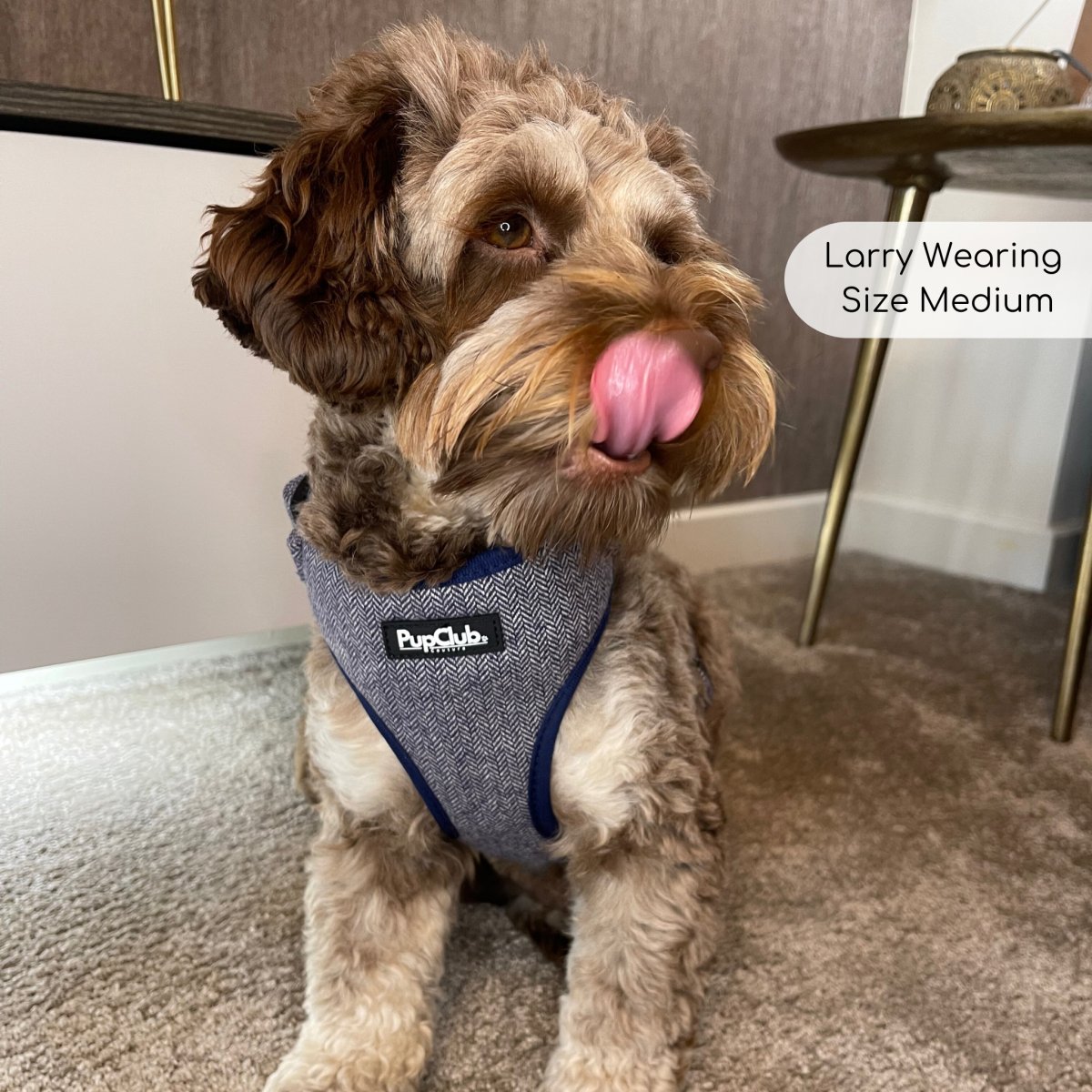 Tweed Adjustable Harness - Blue