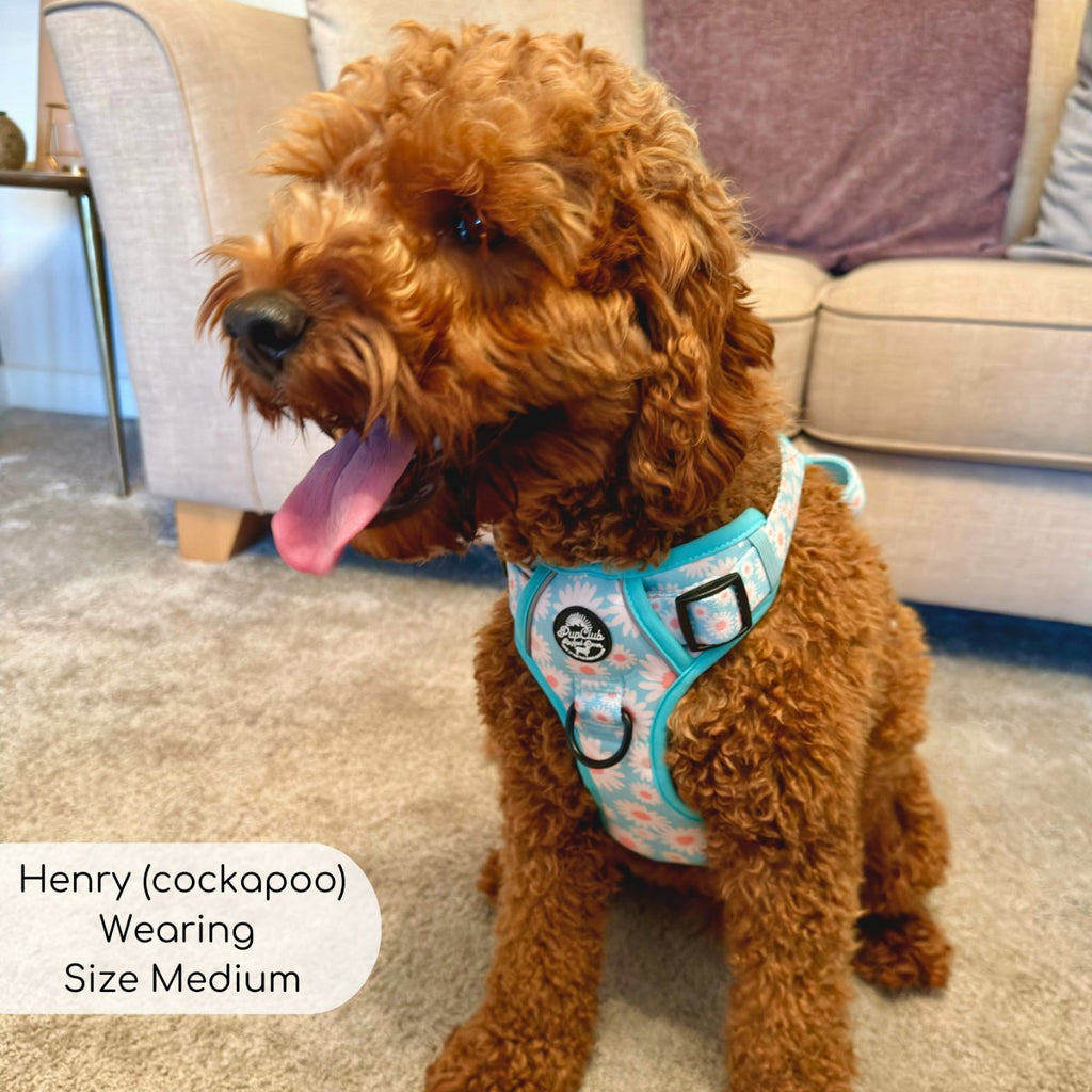 Rugged Rover™ Harness - Pastel Daisy