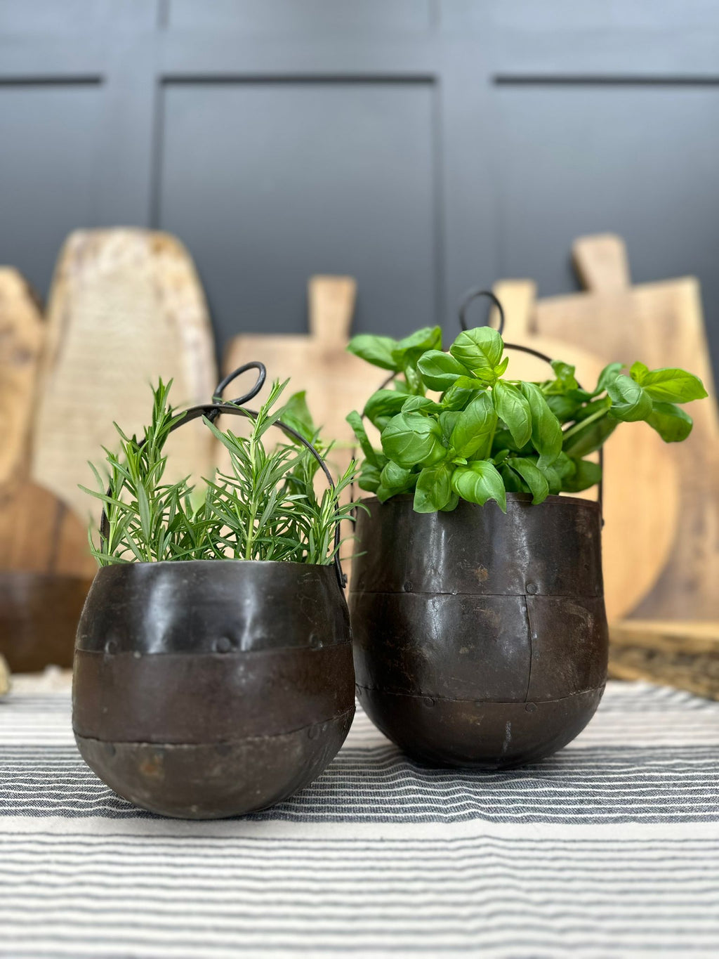 Pair Of Iron Hanging Plant Pot Planter / Herb Pot / Rustic Decor