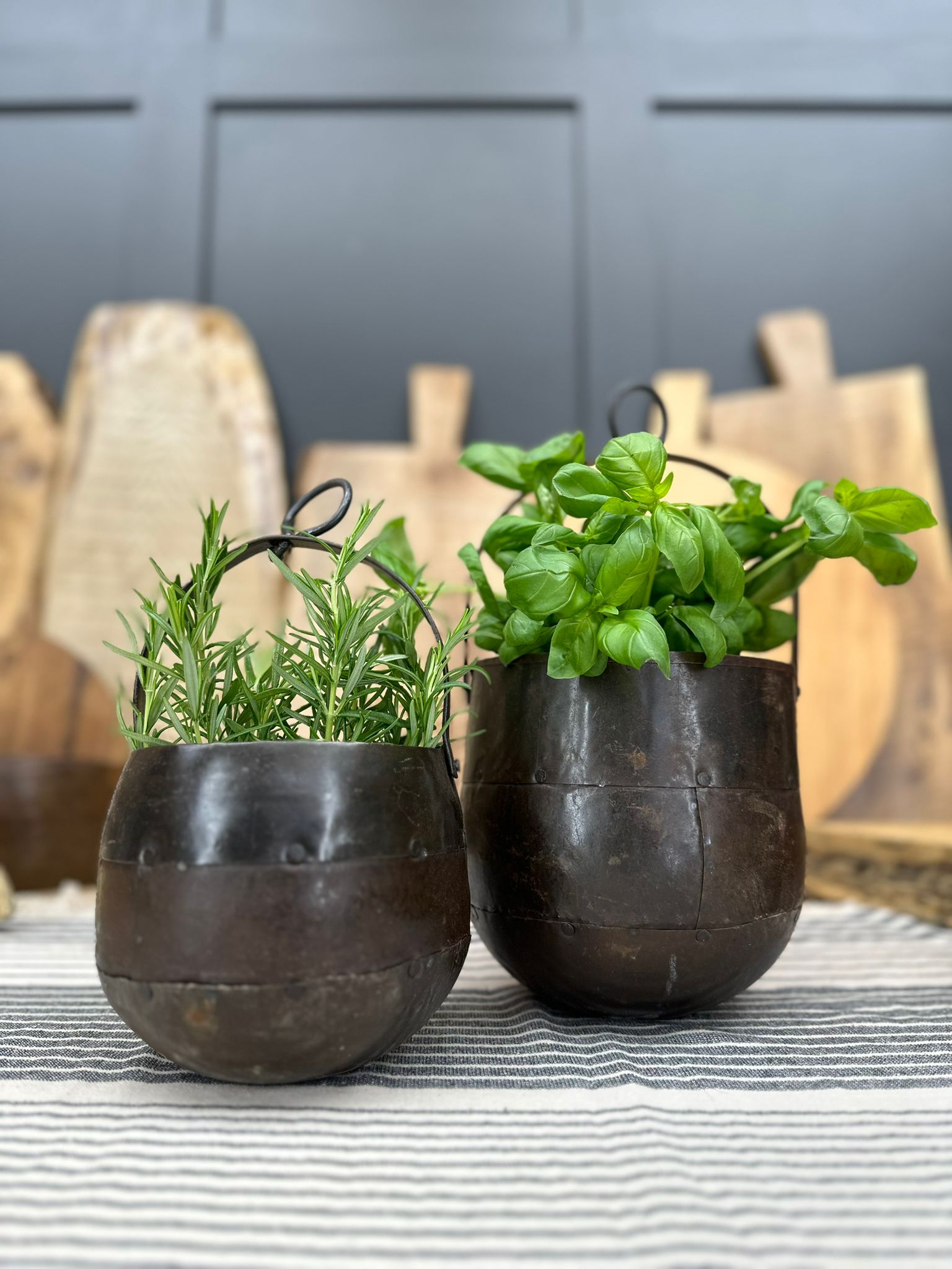 Pair Of Iron Hanging Plant Pot Planter / Herb Pot / Rustic Decor