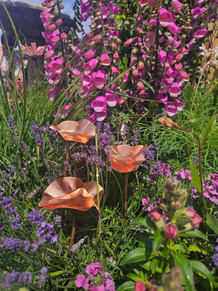 Set of 3 Copper Bee Drinkers