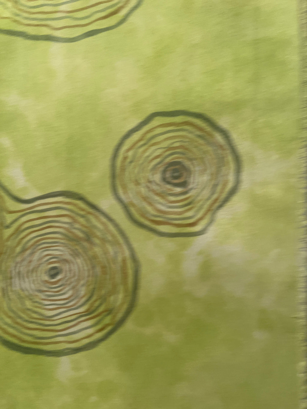 “Spring Birch Life Story” - Painting on Silk - $165