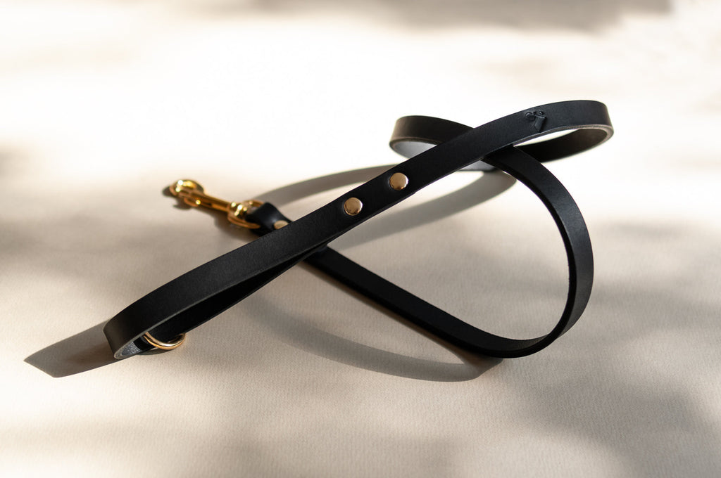 Classic Leather Dog Lead