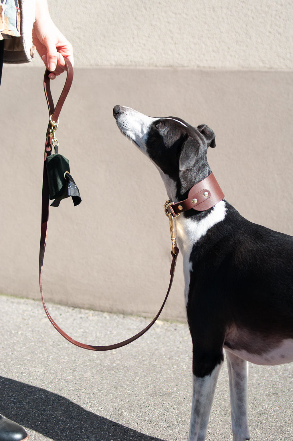 Classic Leather Dog Lead