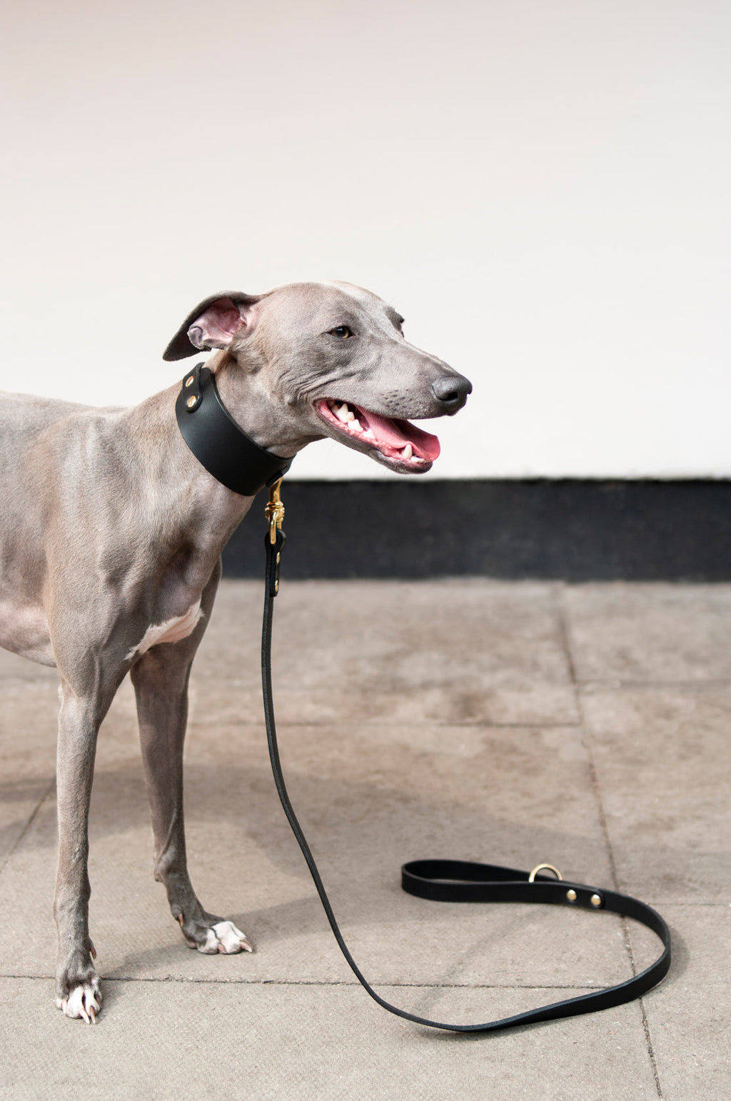 Classic Leather Dog Lead