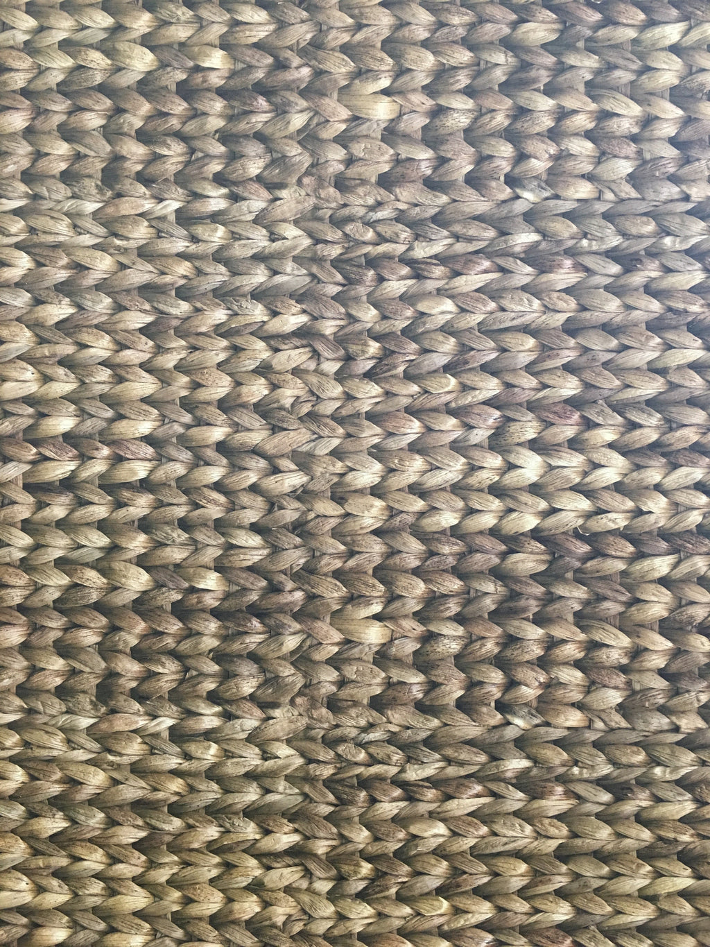 Water Hyacinth Horizontal Wallpaper