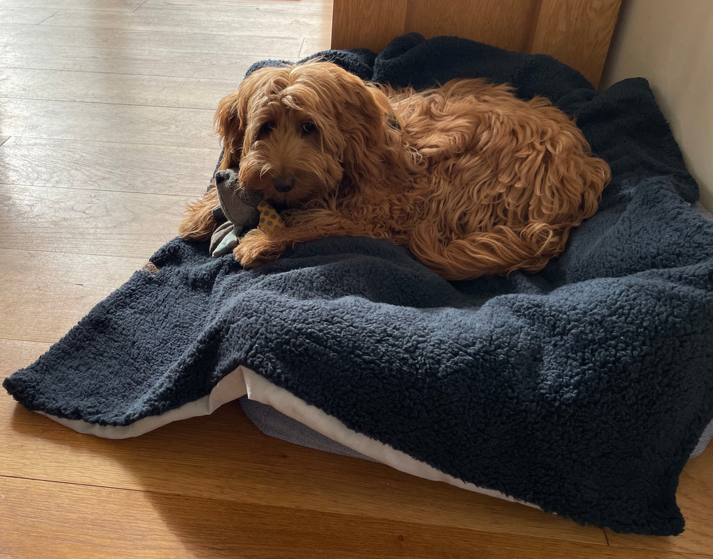 Super Soft Sherpa Fleece Dog Blanket