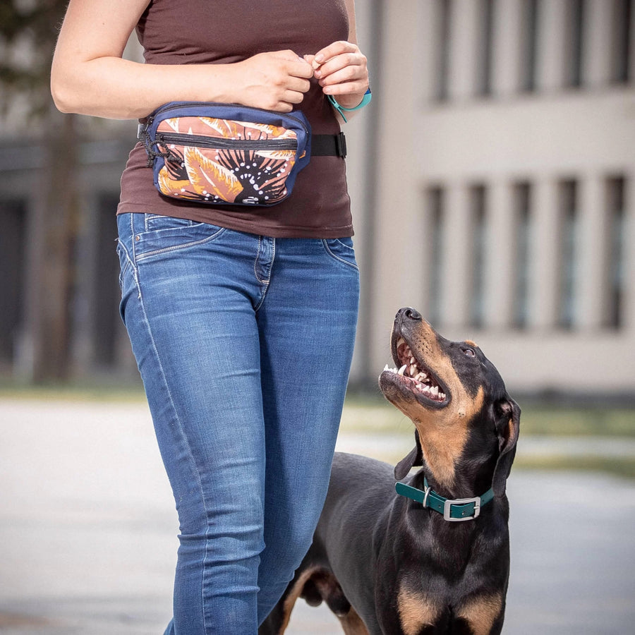 Super Spacious Dog Treat Pouch – Secure & Organized Essentials by Drinbags at www.brixbailey.com