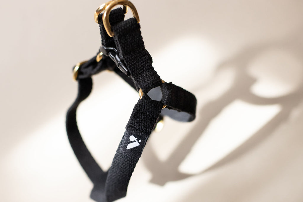 Cotton Step In Dog Harness