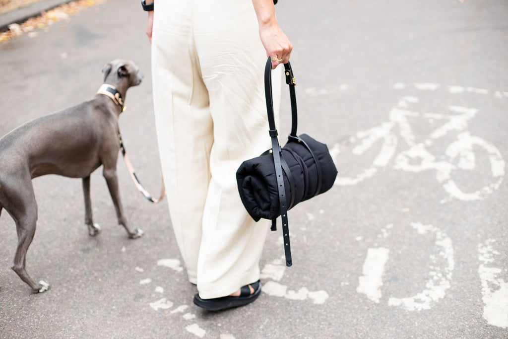 Travel Mat for Dogs