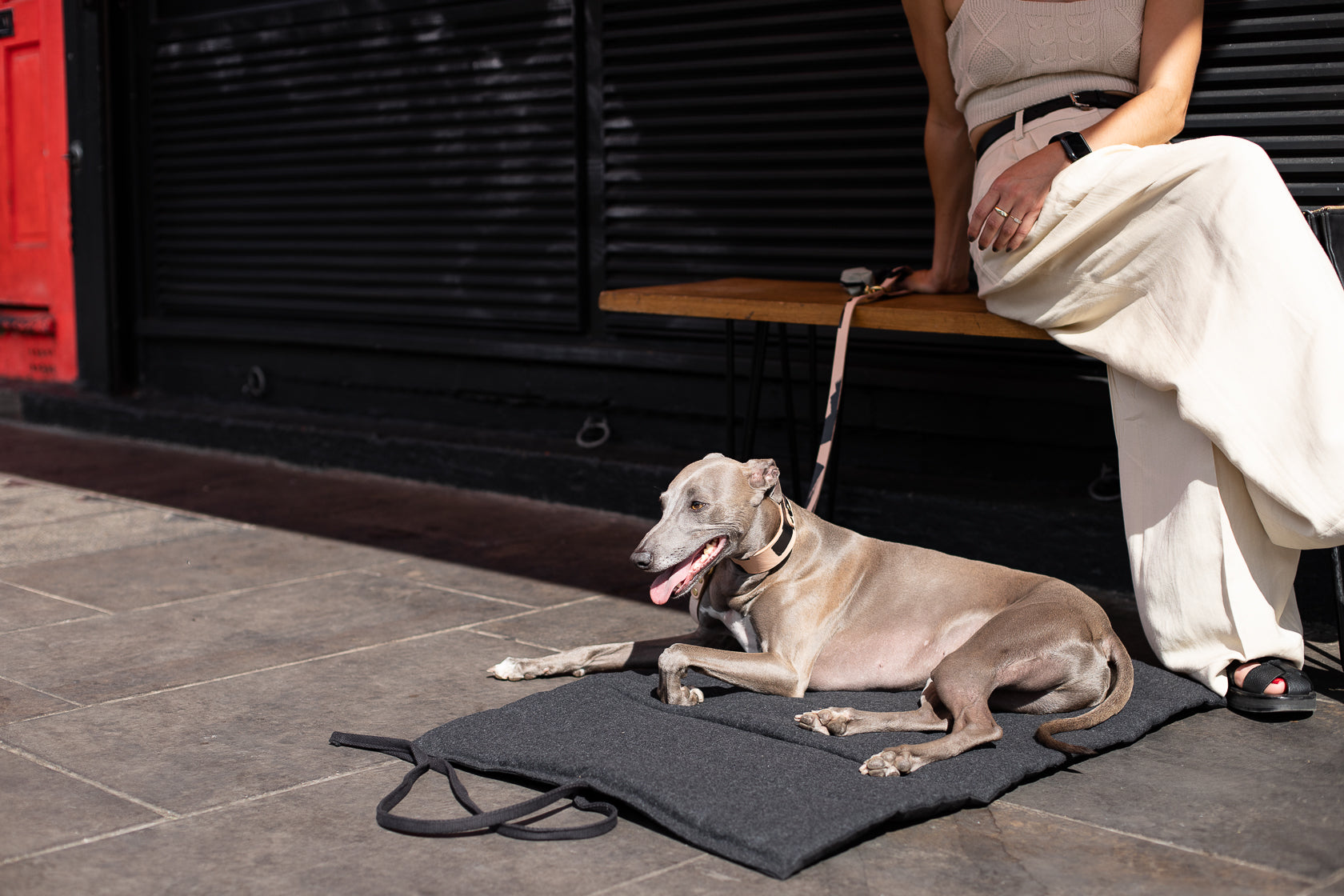 Travel Mat for Dogs