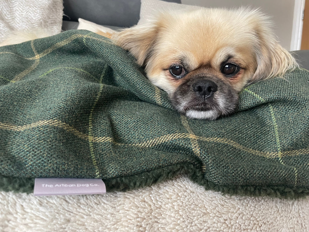 Forest Green Check Dog Blanket with Sherpa Fleece