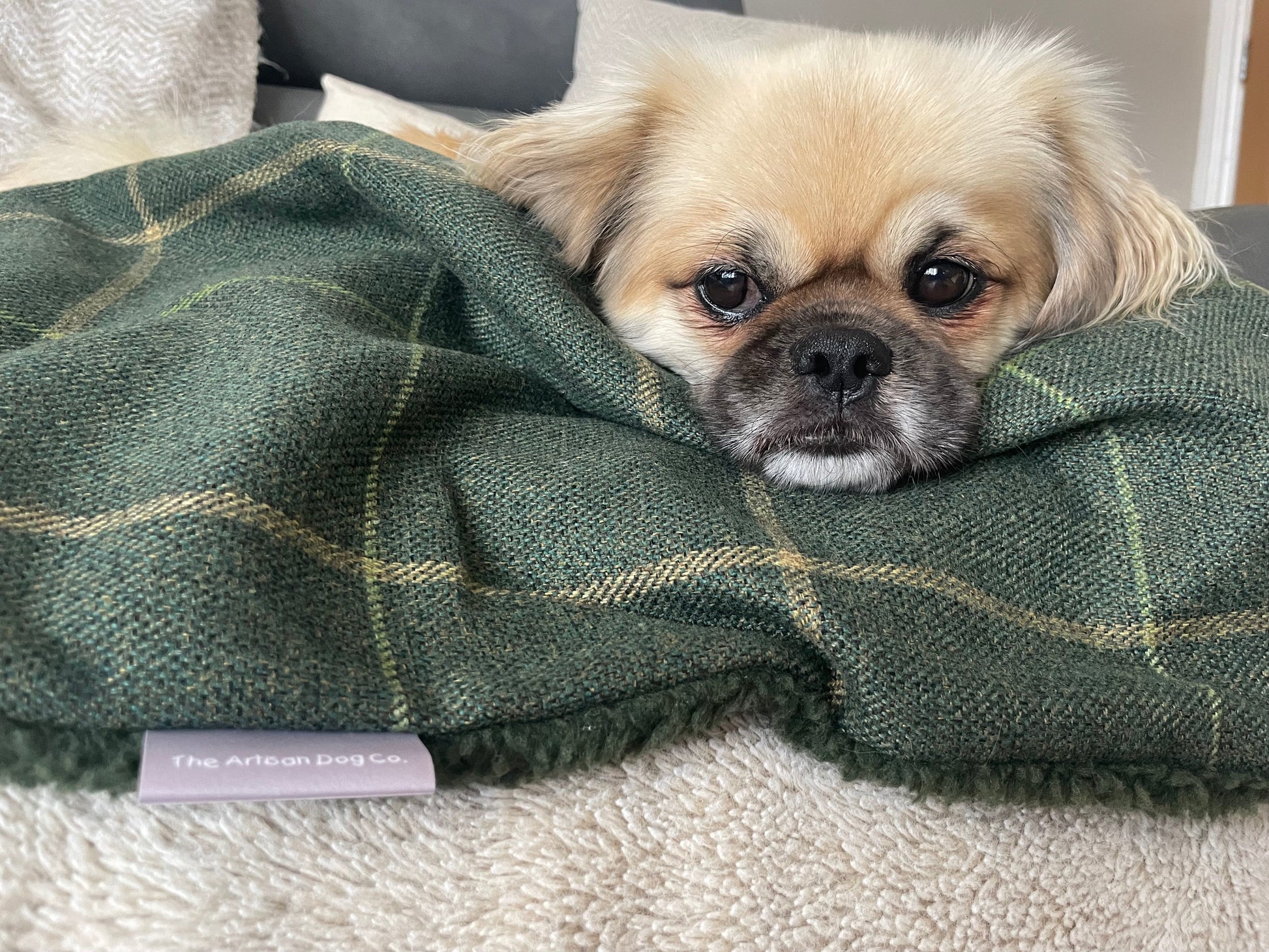 Forest Green Check Dog Blanket with Sherpa Fleece