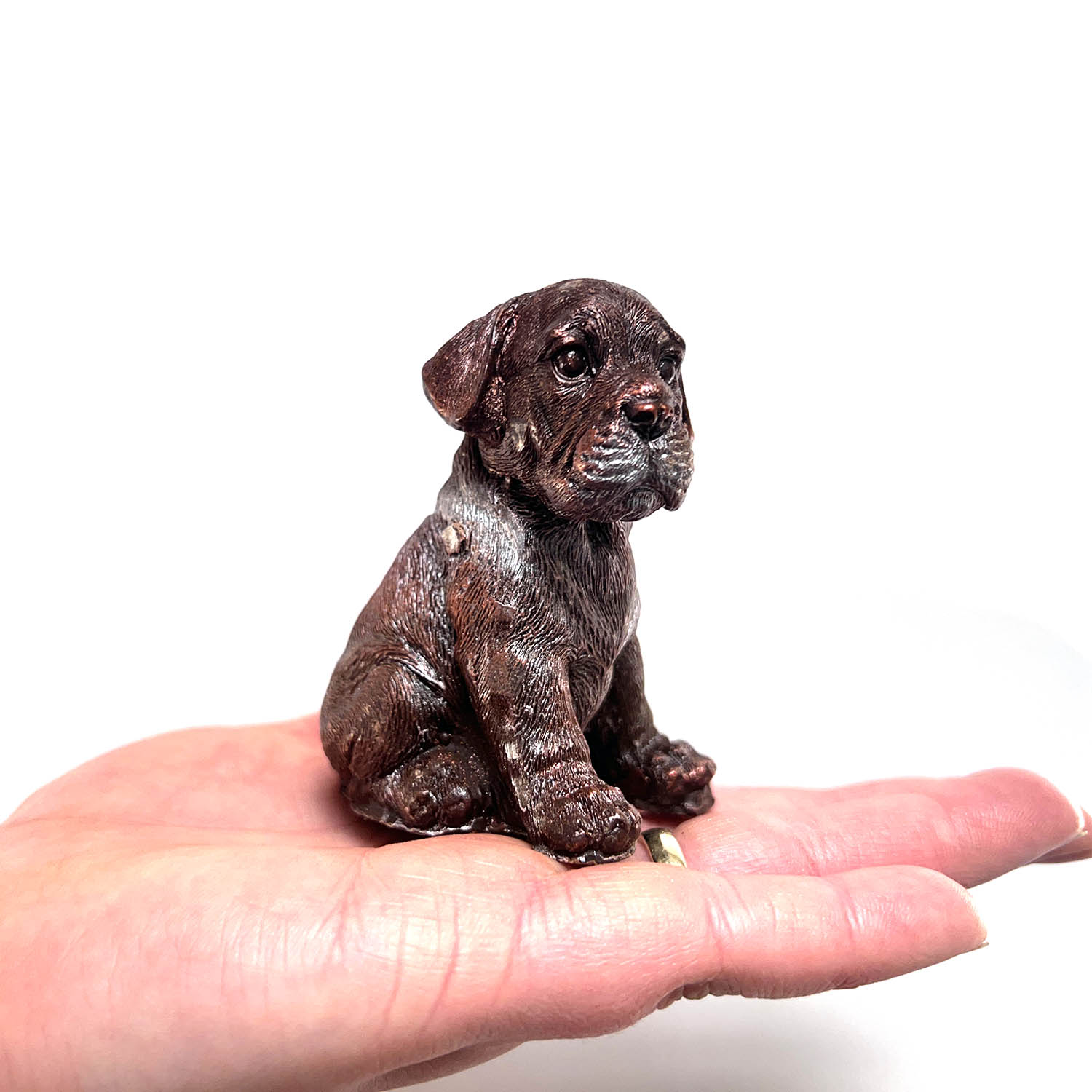 High Definition 3D Chocolate Dog