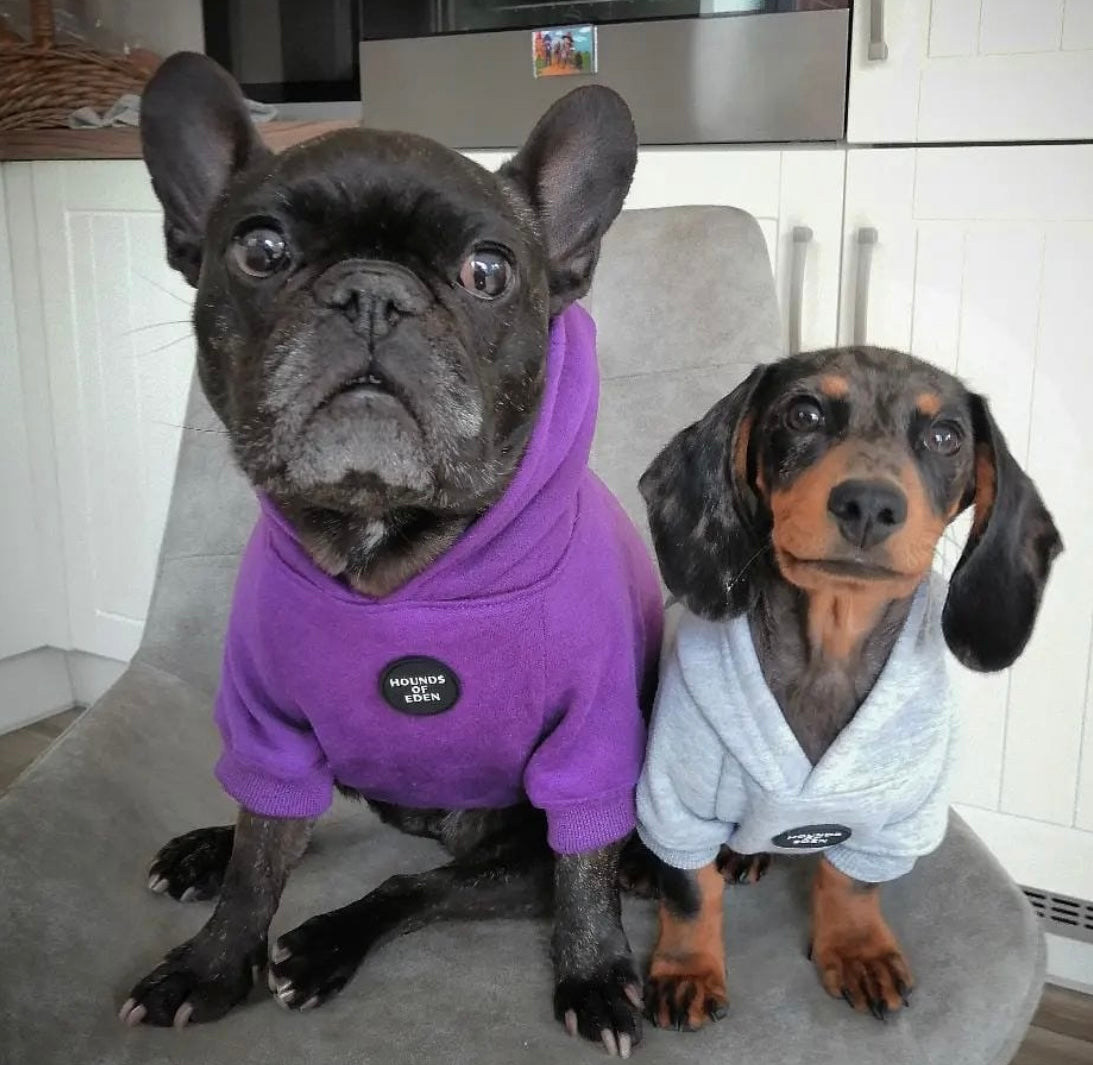 Dog Hoodie - Sky Blue