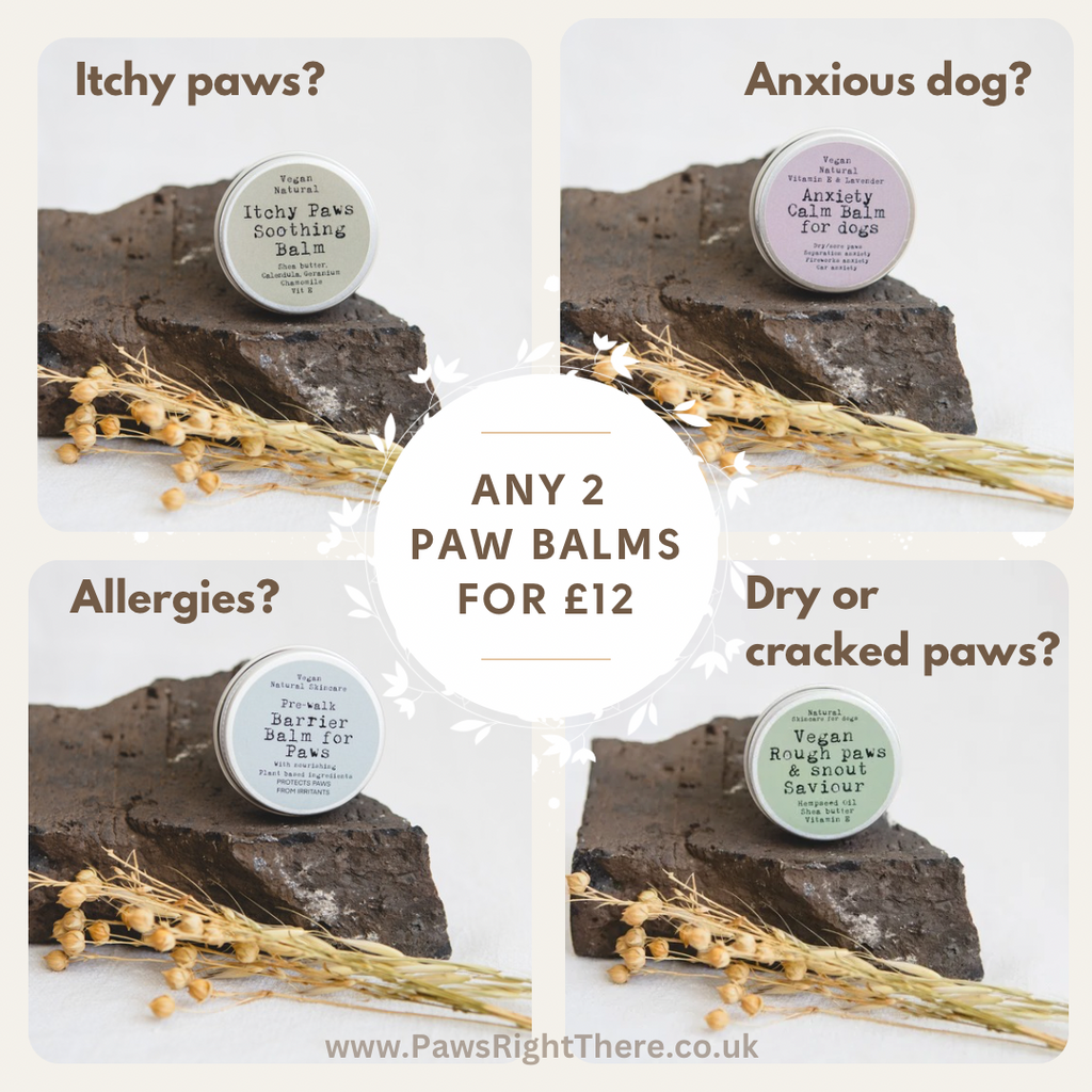 Natural Paw and Snout Balm Unscented 30ml